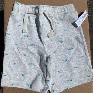 Boys 5t shorts
